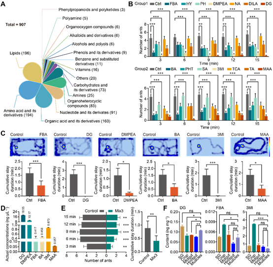 图形用户界面 AI 生成的内容可能不正确。