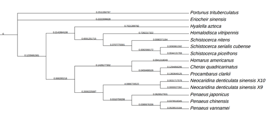 A diagram of a family treeDescription automatically generated with medium confidence